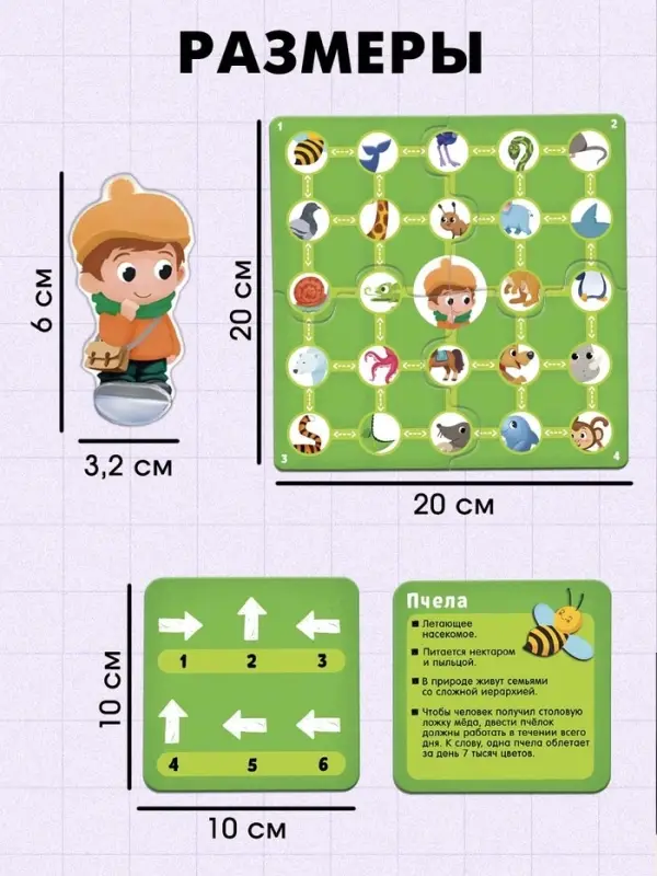 Развивающая игра &laquo;Пройди по стрелкам. Изучаем животных&raquo;, 24 карточки, 3+