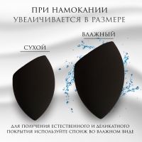Скошенный спонж для макияжа «Капля», 6 × 4 см, увеличивается при намокании, в футляре, цвет чёрный