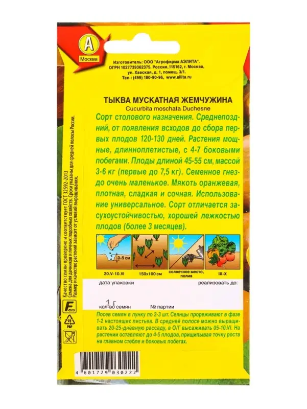 Семена Тыква мускатная Жемчужина, Ц/П,1 г