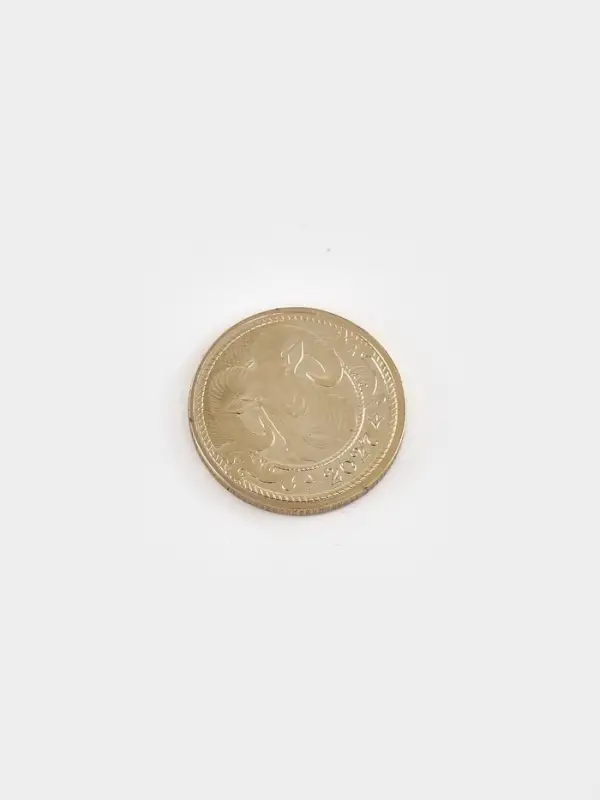 Монета металл &laquo;На успех&raquo;, d=2.2 см