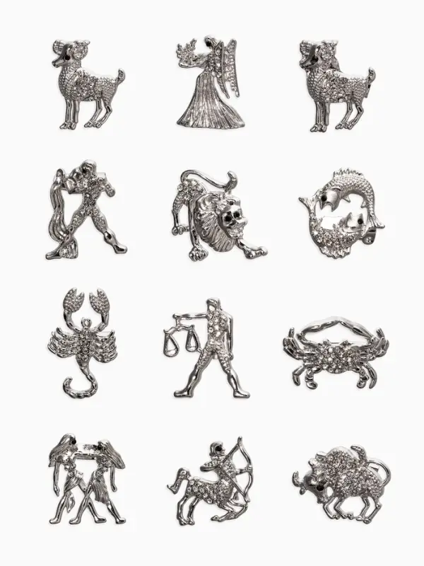 Брошь &laquo;Знаки зодиака&raquo;, ассорти, гороскоп, белая в серебре