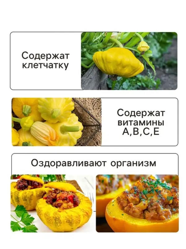 Семена Патиссон корнишон &laquo;Копейка&raquo;, 7 шт., Premium seeds