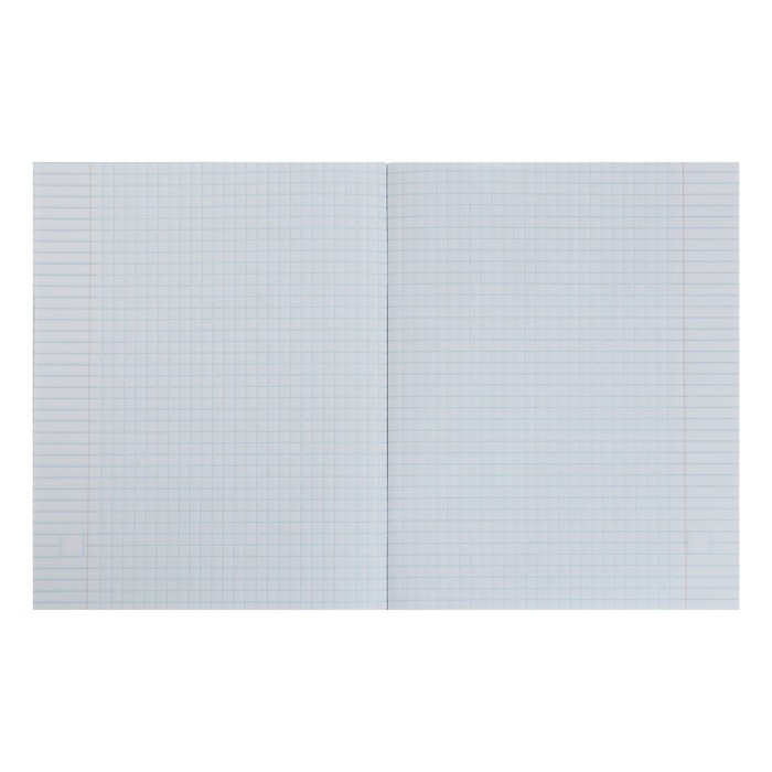 Комплект тетрадей из 5 штук, 48 листов в клетку Calligrata "Котята", обложка мелованный картон, блок офсет