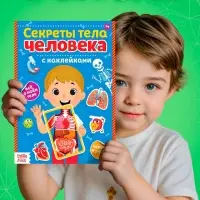 Наклейки &laquo;Секреты тела человека&raquo;, 16 стр.