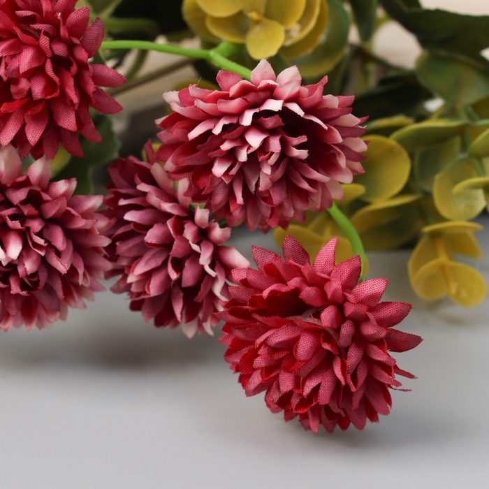 Букет Букет "Астра хризантелла" 27 см, микс