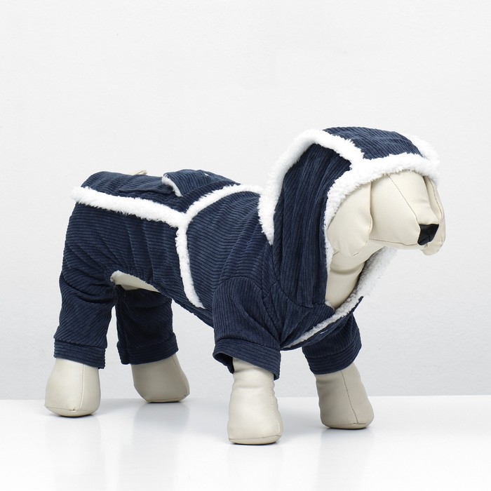 Комбинезон Комбинезон "Малыш", размер XS (ДС 20 см, ОГ 30 см, ОШ 20 см), синий