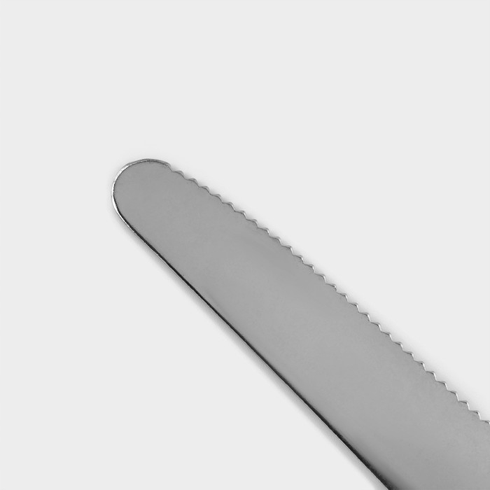 Столовые приборы из нержавеющей стали «Аппетит», 24 предмета, цвет ручек чёрный Столовые приборы из нержавеющей стали «Аппетит», 24 предмета, цвет ручек чёрный