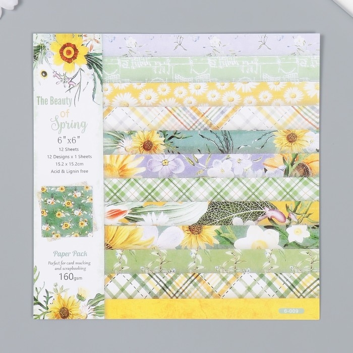 Набор бумаги для скрапбукинга 12 листов 12 дизайнов Набор бумаги для скрапбукинга 12 листов 12 дизайнов "Красота весны" 160 гр 15,2х15,2 см