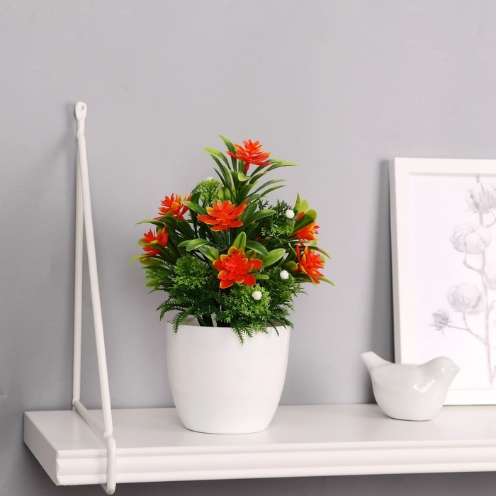 Бонсай в горшке Бонсай в горшке "Праздничный цветник" 9х21 см, микс