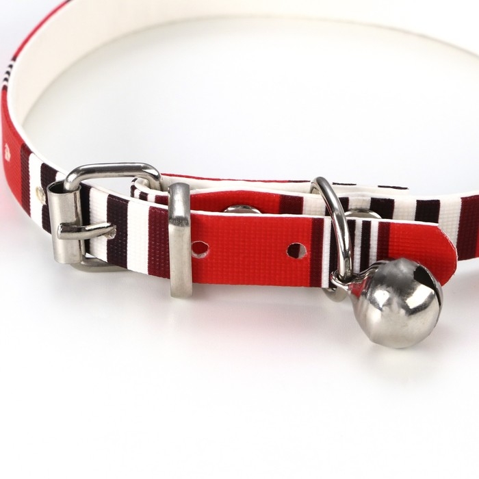 Ошейник Ошейник "Бренд", 31 х 1 см, ОШ 21-28, искусственная кожа