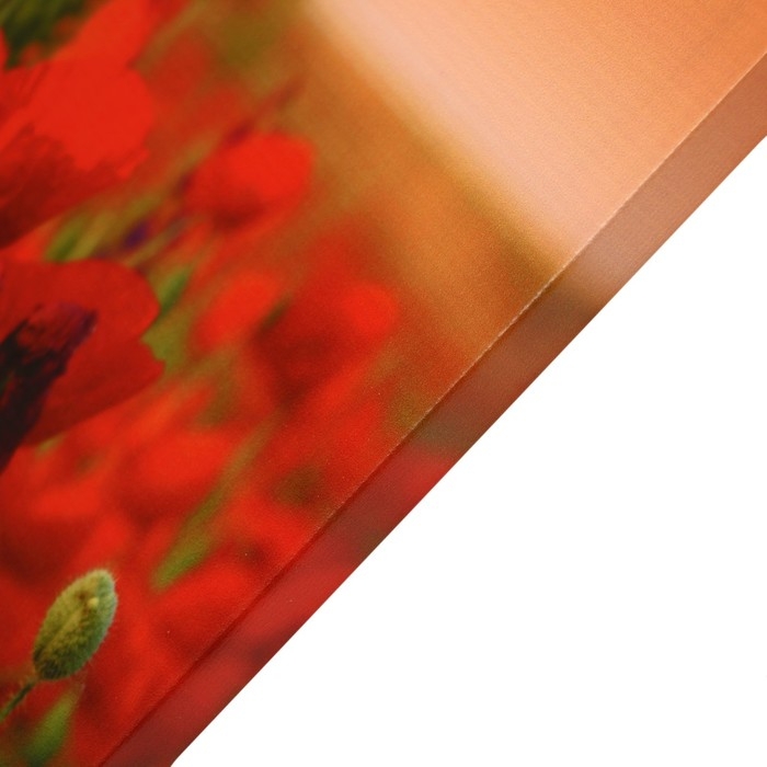 Картина Картина "Маковое поле" 50*70 см