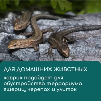Коврик джутовый для выращивания микрозелени, 10 × 15 см, толщина 1 см, набор 5 шт.