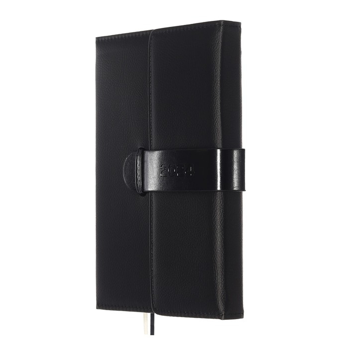 Ежедневник датированный 2024 A5 176 листов, deVENTE.Tudor, твёрдая обложка из искусственной кожи, ляссе, кремовый блок 70 г/м2, чёрный