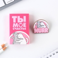 Значок в коробочке «Ты моё счастье», 2,7 х 3 см