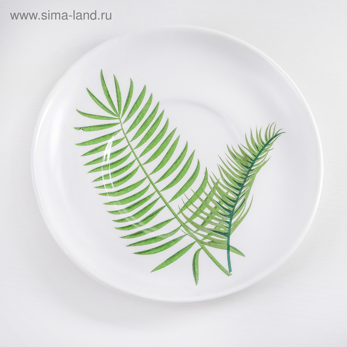 Набор керамический чайный с ложкой «Ботаника», 2 предмета: чашка 200 мл, блюдце, цвет МИКС Набор керамический чайный с ложкой «Ботаника», 2 предмета: чашка 200 мл, блюдце, цвет МИКС