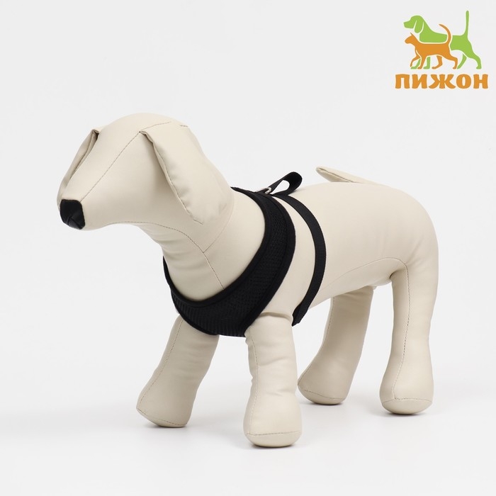 Шлейка мягкая из неопрена, размер XL, ОШ 42 см, ОГ 38-50 см, чёрная Шлейка мягкая из неопрена, размер XL, ОШ 42 см, ОГ 38-50 см, чёрная