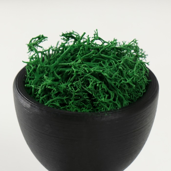 Кашпо бетонное мини Кашпо бетонное мини "Мистер Грин йог"со мхом черный 5,3х6х7 см (мох зеленый стабилизир.)