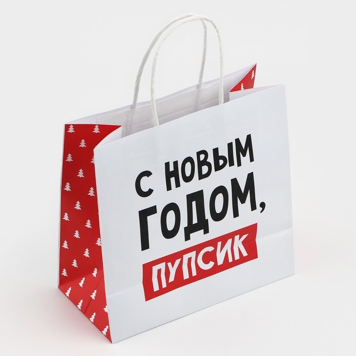 Пакет подарочный новогодний «С Новым годом, пупсик», 22 х 22 х 11 см , Новый год