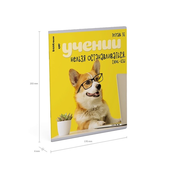 Тетрадь 36 листов в клетку, ErichKrause "Ученые собаки", обложка мелованный картон, блок офсет 100% белизна, МИКС