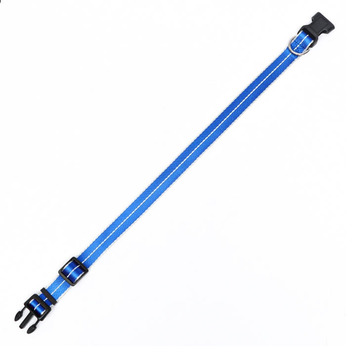 Ошейник светоотражающий Ошейник светоотражающий "Неон", ширина 2,5 см, синий