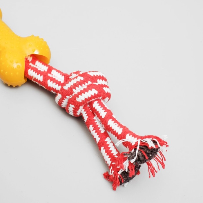 Игрушка канатная двойная с косточкой, до 30 см, до 85 г, микс цветов Игрушка канатная двойная с косточкой, до 30 см, до 85 г, микс цветов