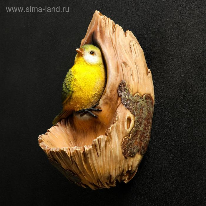 Подвесной декор  Подвесной декор " Птичка в дупле" 12х14х24см