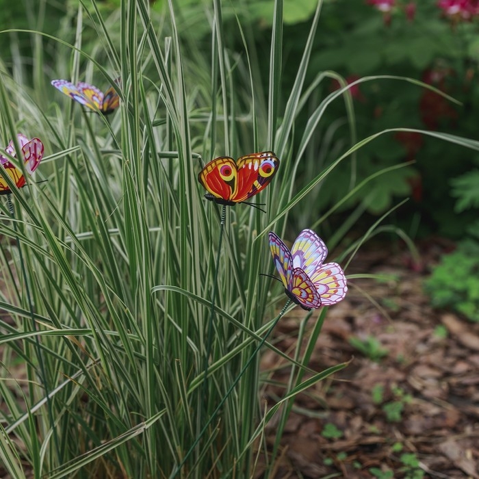 Штекер Штекер "Бабочка Шарлин" 3х4см/30см, набор 25шт, МИКС