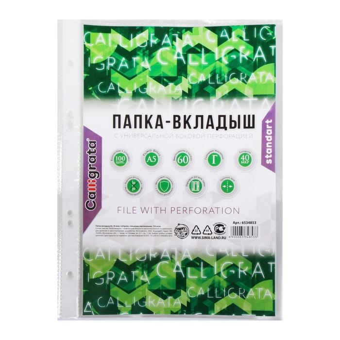 Файл-вкладыш А5, 40 мкм, Calligrata, глянцевый, вертикальный, 100 штук Файл-вкладыш А5, 40 мкм, Calligrata, глянцевый, вертикальный, 100 штук