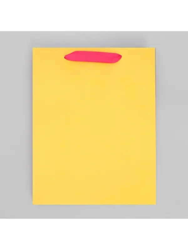 Пакет подарочный трёхцветный, упаковка, &laquo;Жёлтый-розовый-голубой&raquo;, MS 18 х 23 х 10 см