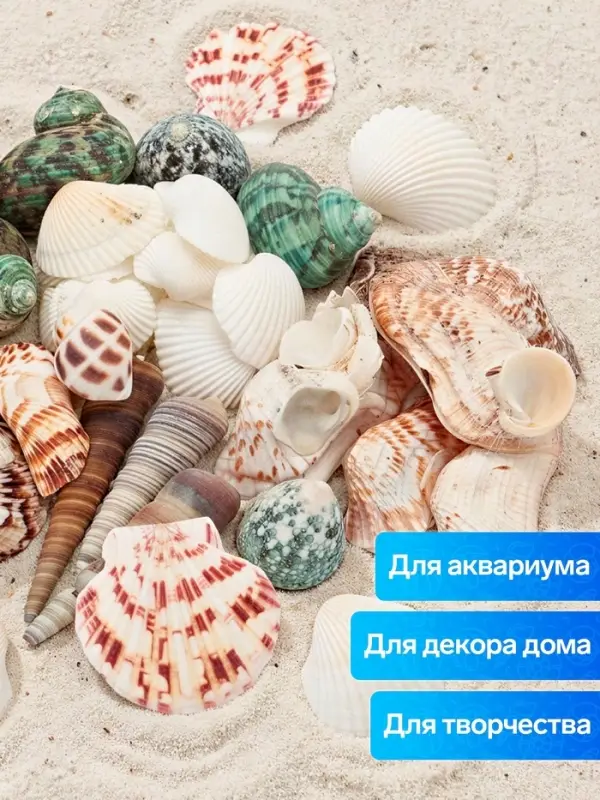 Набор ракушек &laquo;Пижон Аква&raquo;, 200 г, микс №1