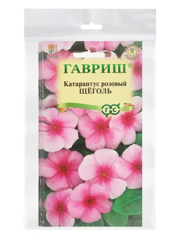 Набор семян комнатных Барвинок &laquo;Щеголь&raquo;, 5 шт., &laquo;Мой выбор&raquo;