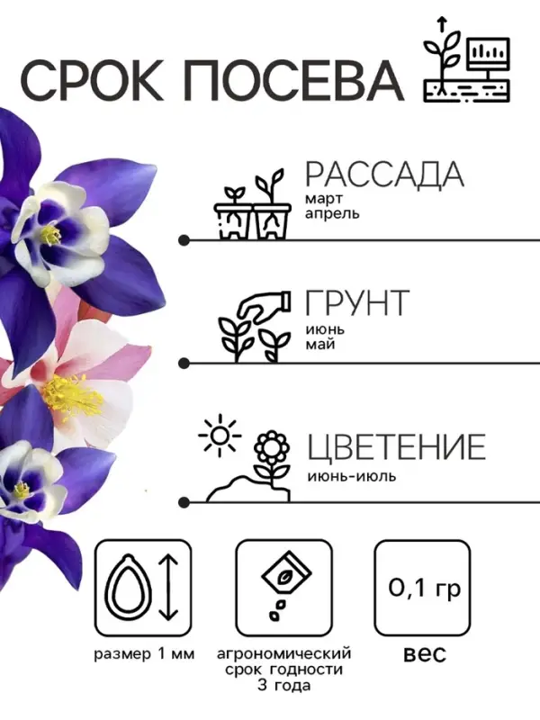Семена Аквилегия Радуга 0.1г* Семена Аквилегия Радуга 0.1г*