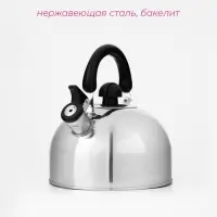 Чайник Доляна &laquo;Чёрная ночь&raquo;, 2 л, со свистком, индукция, нержавеющая сталь, хромированный