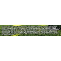 Семена газоннной травы Schatten,1кг