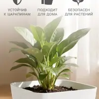 Горшок цветочный с поддоном СибПолимер &laquo;Классика&raquo;, 4.5 л, пластиковый, белый