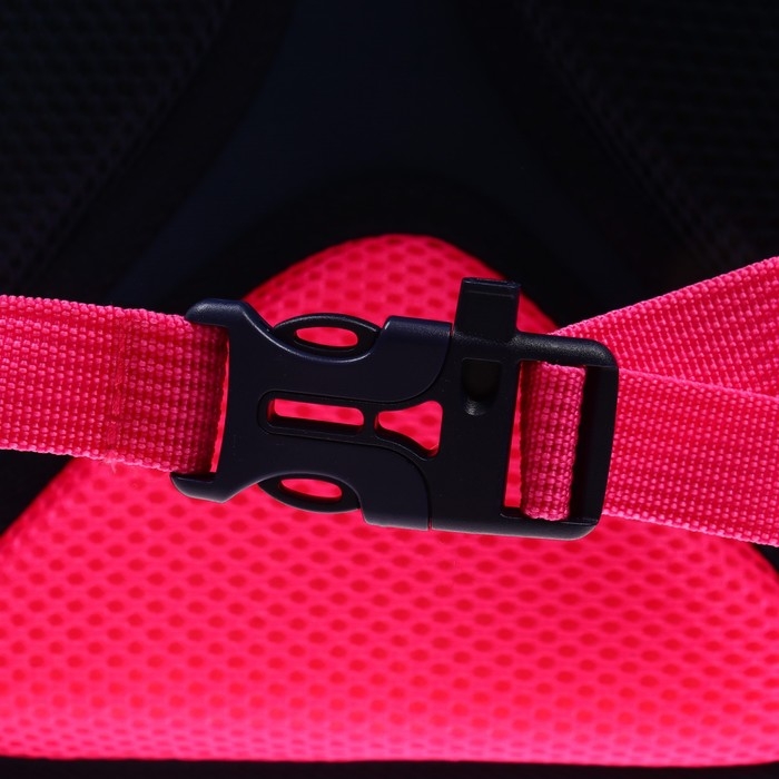 Рюкзак каркасный, 37 х 26 х 16 см, Grizzly RAw-396, синий RAw-396-7_1 Рюкзак каркасный, 37 х 26 х 16 см, Grizzly RAw-396, синий RAw-396-7_1