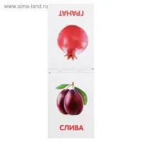 Книжка обучающая по методике Г. Домана «Фрукты», 20 стр.