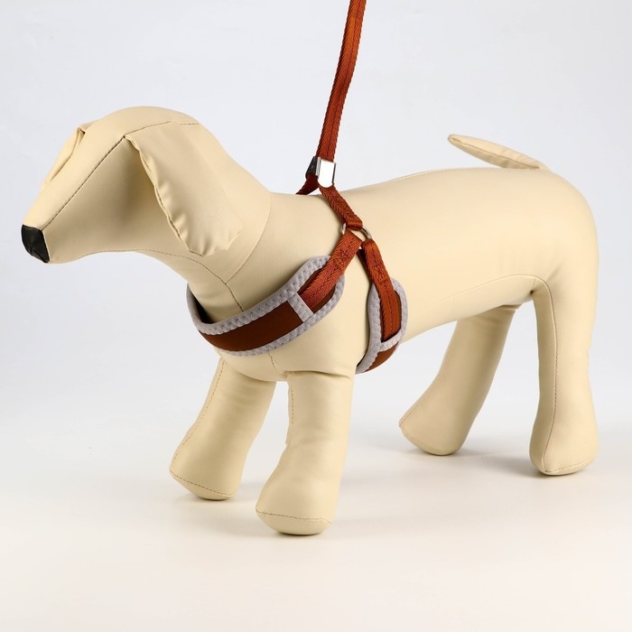 Комплект мягкая шлейка, круглый поводок 1,5 х 120 см с вертлюгом, M, ОШ 32-72 см, ОГ 32-72 см, корич Комплект мягкая шлейка, круглый поводок 1,5 х 120 см с вертлюгом, M, ОШ 32-72 см, ОГ 32-72 см, корич