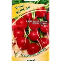 Семена Редис &laquo;Корсар&raquo;, 2.0 г, &laquo;Гавриш&raquo;