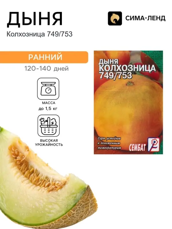 Семена Дыня &laquo;Колхозница 749/753&raquo;, 0.5 г, &laquo;Сембат&raquo;