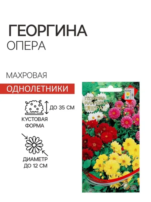 Семена цветов Георгина махровая  Семена цветов Георгина махровая "Опера"  15 шт