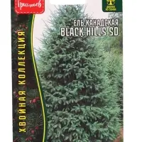 Семена цветов Ель Black Hills SD канадская  10шт.  12.29 г.