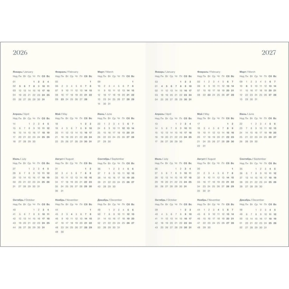 Ежедневник датированный 2026 IF 14х20см 176л, мягкий, Nightfall I1736/light