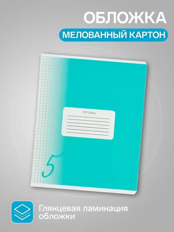 Комплект тетрадей из 10 штук, 18 листов в клетку Calligrata "Пятёрка", обложка мелованный картон, ВД-лак, блок офсет, 5 видов по 2 штуки