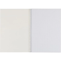 Бизнес-тетрадь А4 96л AttacheSelection Gold Collection клет,спир,карт,голуб