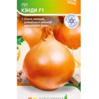 Семена Лук, &laquo;Кэнди&raquo;, F1, 200 шт., Seminis, &laquo;Агрос&raquo;