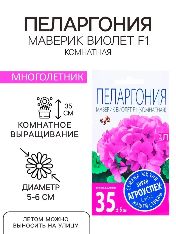 Семена комнатных цветов Пеларгония &laquo;Виолет&raquo;, 4 шт., &laquo;Агроуспех&raquo;