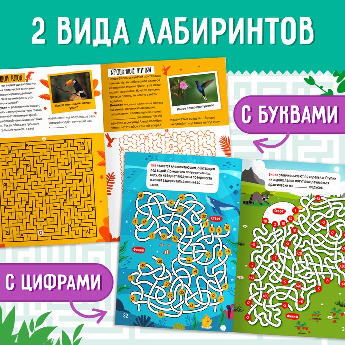 Набор обучающих книг «Лабиринты и факты», 6 шт. Набор обучающих книг «Лабиринты и факты», 6 шт.