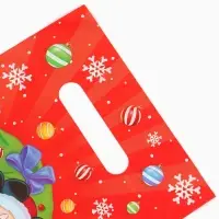 Пакет подарочный полиэтиленовый набор 10 шт., &laquo;С Новым годом&raquo;