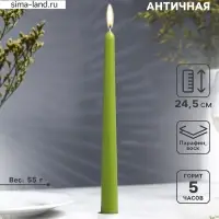 Свеча античная, 2.3&times;24.5 см, 5 ч, 55 г, оливковая